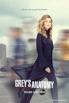 Grey’s Anatomy Season 16 ซับไทย Ep.1-21